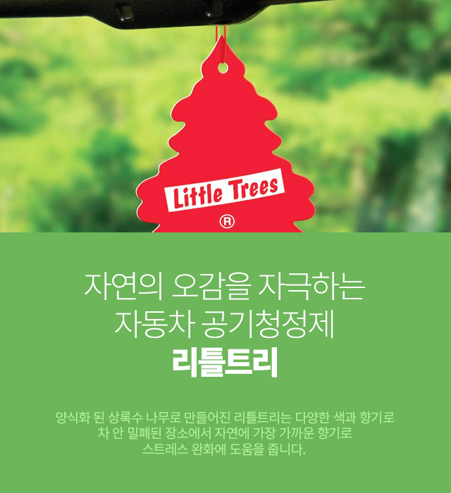 Little Tree